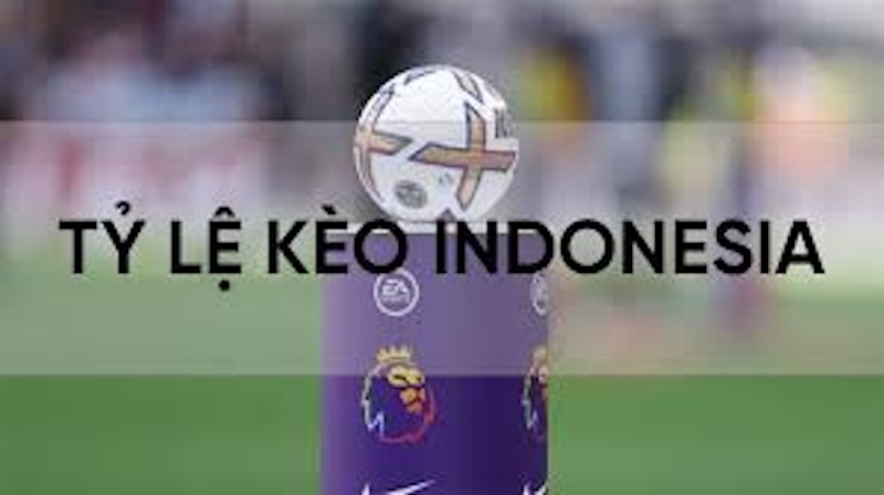 Tỷ lệ cược Indonesia là gì?